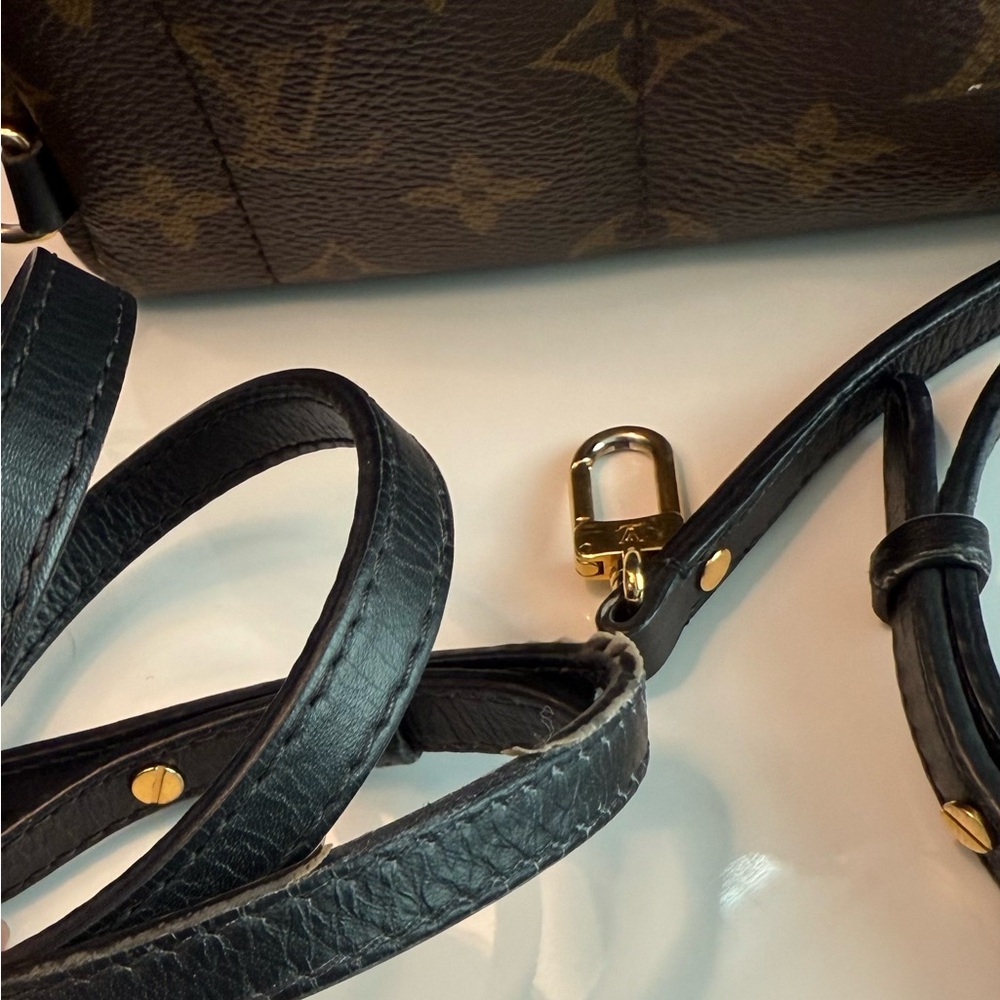 SOLD Louis Vuitton Palm Springs Mini Backpack - Picture 7 of 16